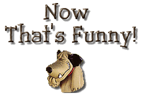 Mail: brown.websites@gmail.com?subject=LWMS - Jokes and Riddles